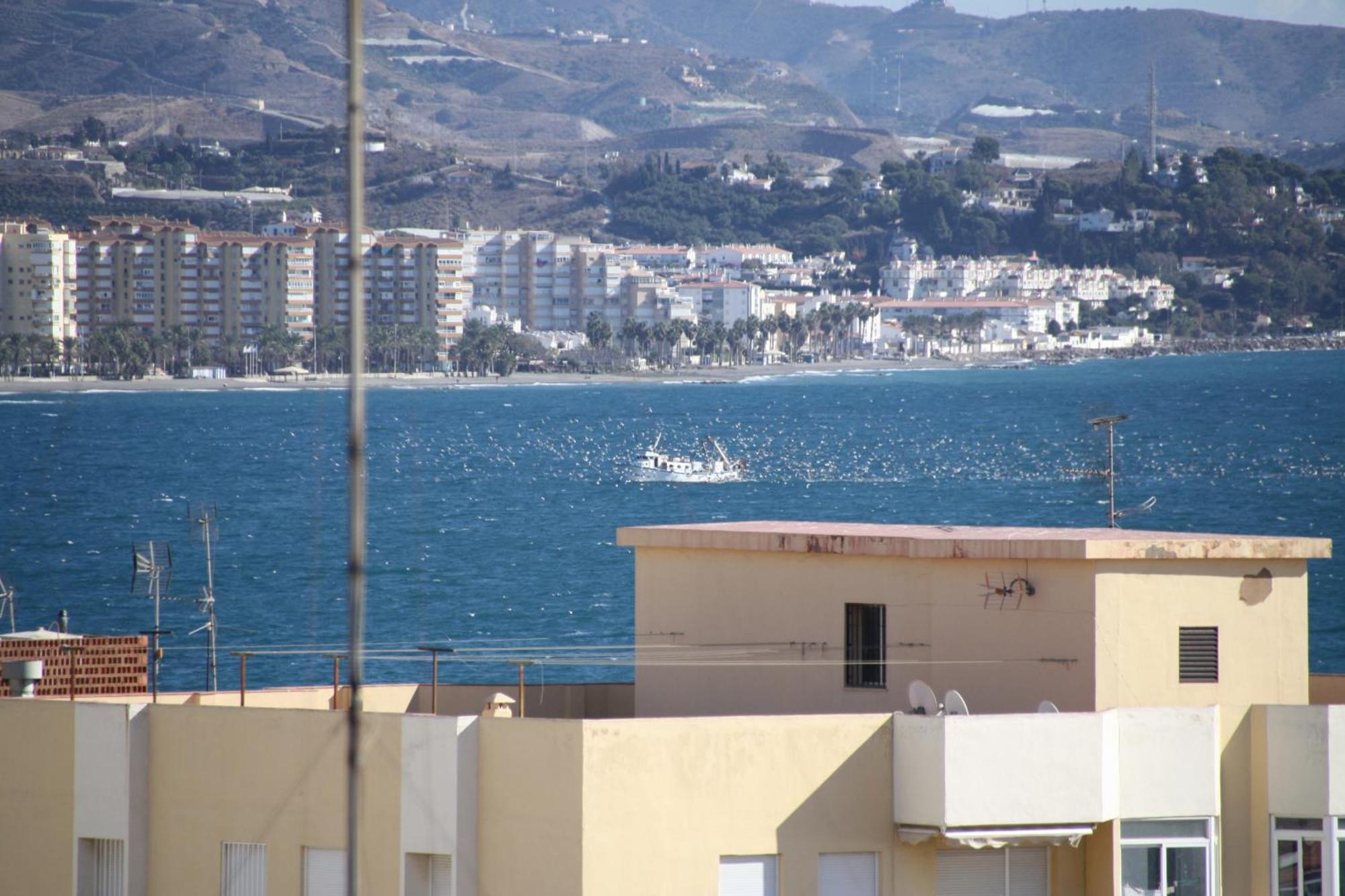 Estudio Plazamar Beach توري ذيل مار المظهر الخارجي الصورة